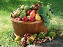 娱乐吃瓜场地图片高清大图,高清大图揭秘网红吃瓜场地  第2张