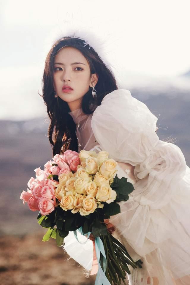 娱乐大爆料玫瑰,玫瑰背后的惊人真相大揭秘 第1张 娱乐大爆料玫瑰,玫瑰背后的惊人真相大揭秘 第1张